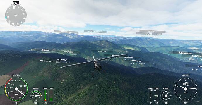 Microsoft Flight Simulator Screenshot 2020.11.29 - 20.00.30.93