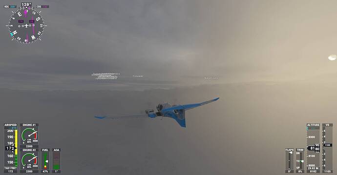 Microsoft Flight Simulator Screenshot 2021.02.01 - 20.02.22.56
