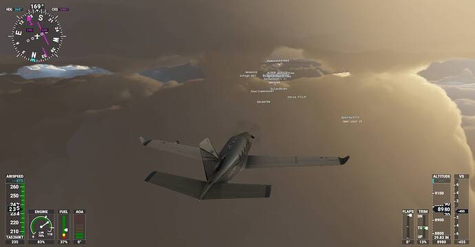 Microsoft Flight Simulator Screenshot 2021.02.04 - 22.09.31.15
