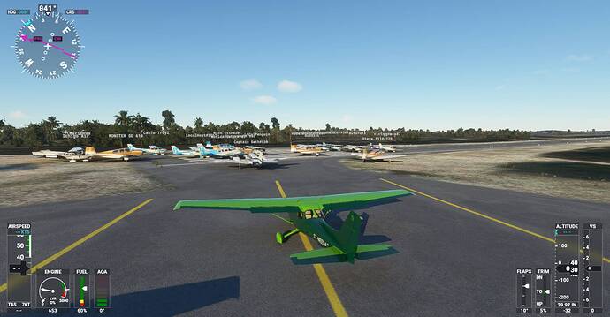 Microsoft Flight Simulator Screenshot 2021.01.09 - 21.10.17.21