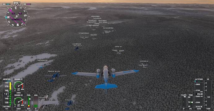 Microsoft Flight Simulator Screenshot 2021.02.14 - 21.18.42.45