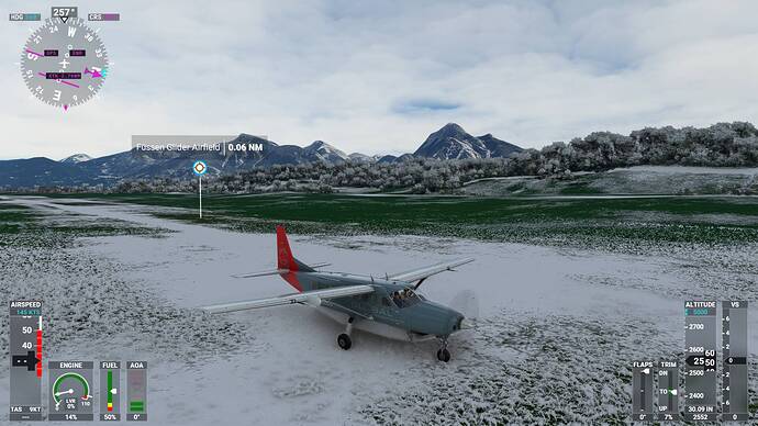 Microsoft Flight Simulator Screenshot 2021.03.25 - 17.53.10.81