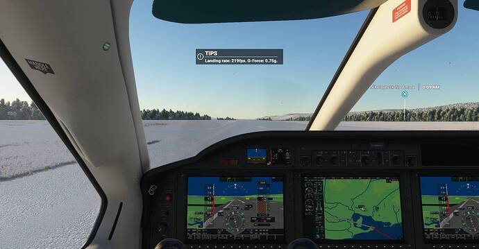 Microsoft Flight Simulator Screenshot 2021.01.24 - 20.43.10.62