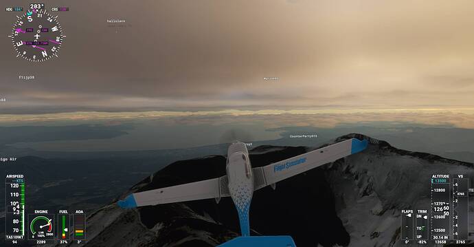 Microsoft Flight Simulator Screenshot 2021.01.10 - 21.52.37.54