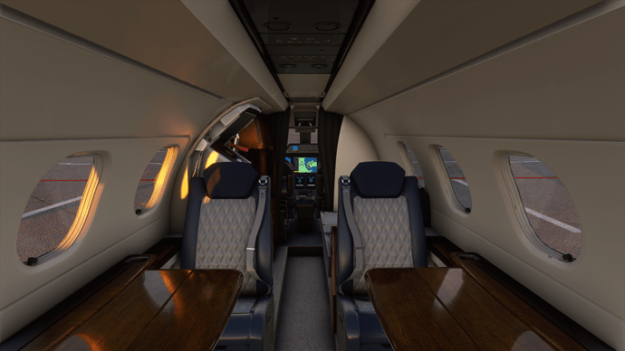 Microsoft Flight Simulator 8_19_2020 6_05_31 AM
