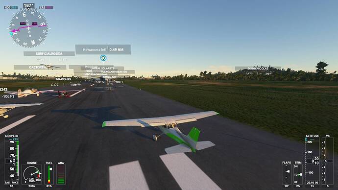 Microsoft Flight Simulator Screenshot 2020.12.12 - 21.12.45.42