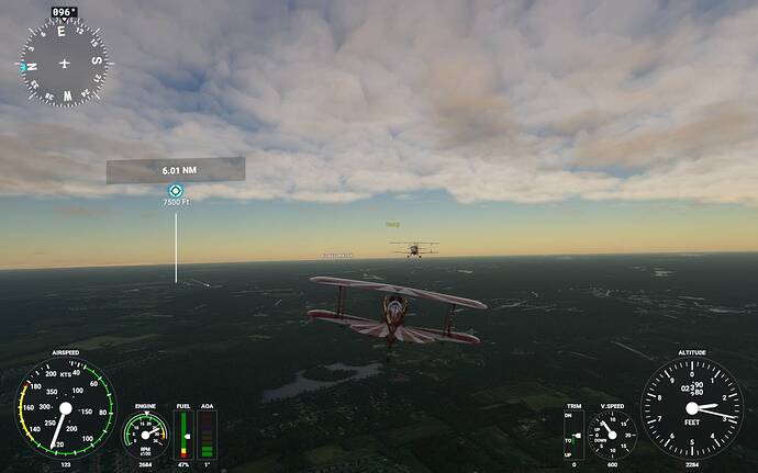 Microsoft Flight Simulator 08_04_2021 21_33_07