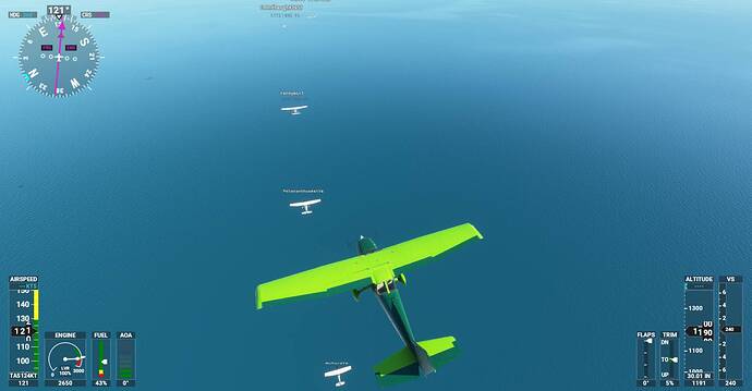 Microsoft Flight Simulator Screenshot 2021.01.09 - 20.11.06.88