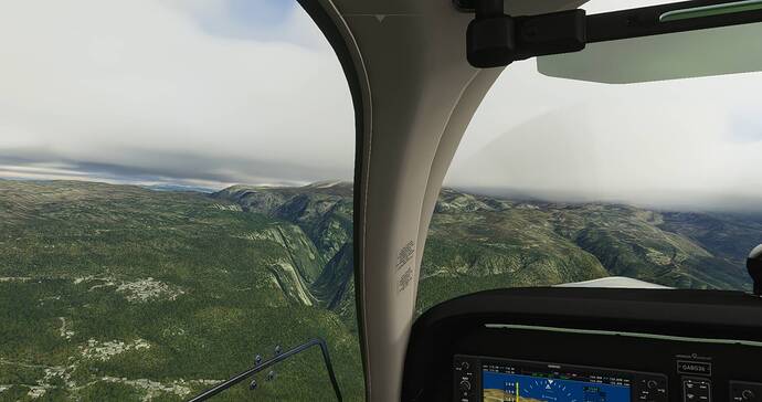 Microsoft Flight Simulator 4_21_2021 8_36_43 AM