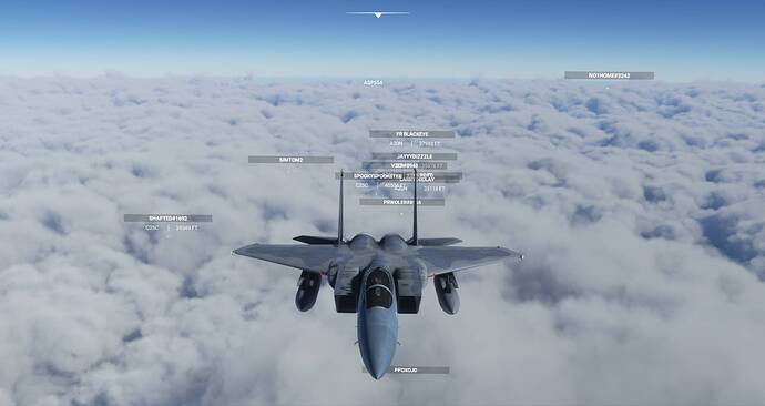 Microsoft Flight Simulator Screenshot 2021.03.05 - 14.05.18.35