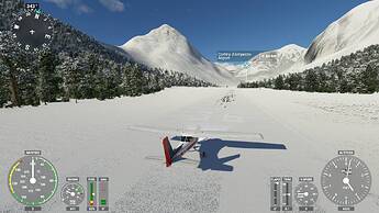 Microsoft Flight Simulator 19_01_2021 12_38_37