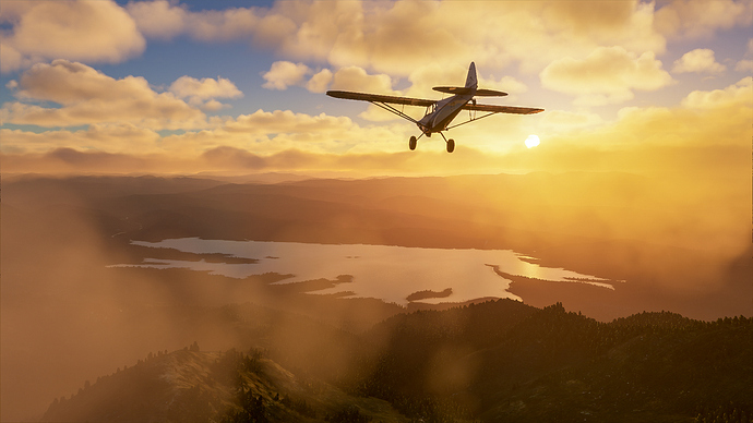Microsoft Flight Simulator 2020 Idaho Bush Trip-6