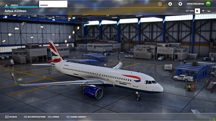 Microsoft Flight Simulator 21_08_2020 12_44_57