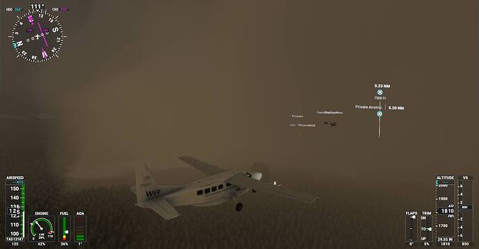 Microsoft Flight Simulator Screenshot 2021.02.28 - 20.33.44.81