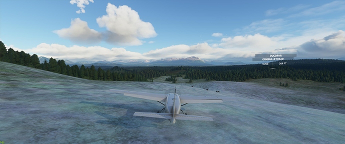 Microsoft Flight Simulator 10_24_2020 5_06_03 PM