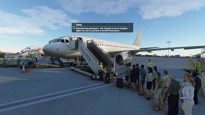 Microsoft Flight Simulator 28_01_2021 16_49_43