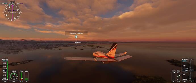 Microsoft Flight Simulator 03_05_2021 22_26_34