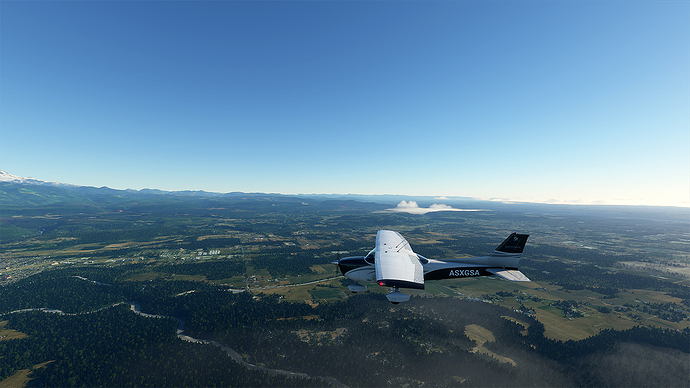 Microsoft Flight Simulator 2020-08-28 21_22_02 jpeg
