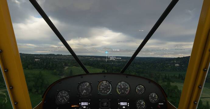 Microsoft Flight Simulator Screenshot 2021.03.13 - 21.25.15.91