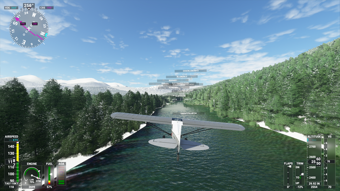 Microsoft Flight Simulator 28.08.2020 21_54_56