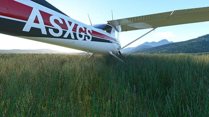 Microsoft Flight Simulator Screenshot 2020.10.31 - 17.42.24.38