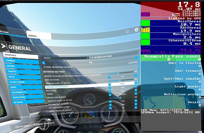 VR settings in VR mode with DEV mode ON