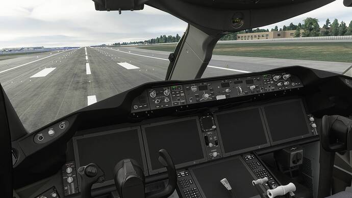 Microsoft Flight Simulator 12_03_2021 20_30_00