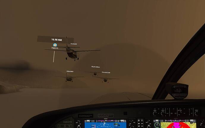 Microsoft Flight Simulator 25_02_2021 20_57_40