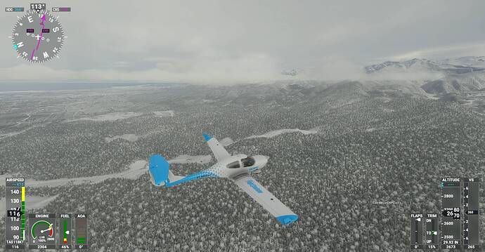 Microsoft Flight Simulator Screenshot 2021.01.10 - 20.21.22.91