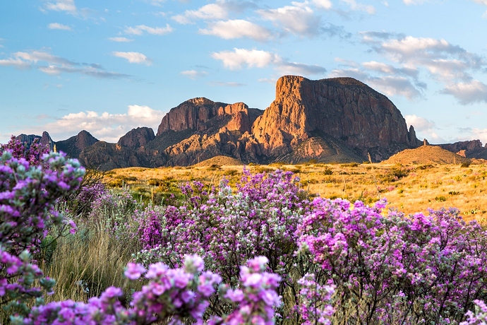 Big-Bend-National-Park-GettyImages-516259396