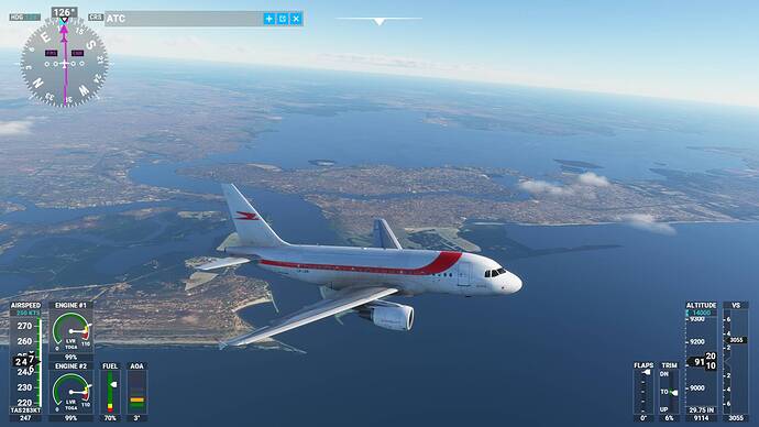 Microsoft Flight Simulator 30_01_2021 17_14_02