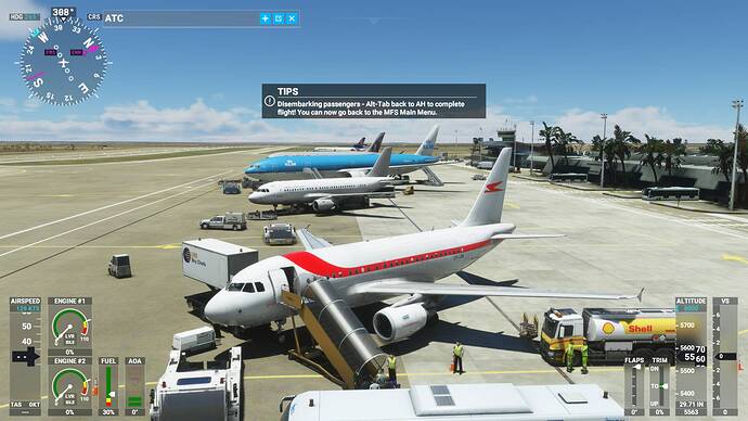 Microsoft Flight Simulator 30_01_2021 21_54_19