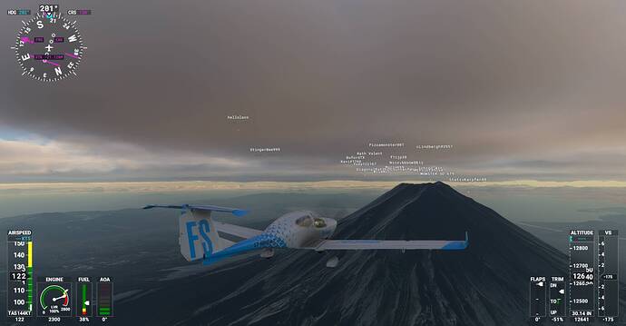 Microsoft Flight Simulator Screenshot 2021.01.10 - 21.51.07.22