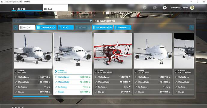 Microsoft Flight Simulator 09.03.2021 04_44_39