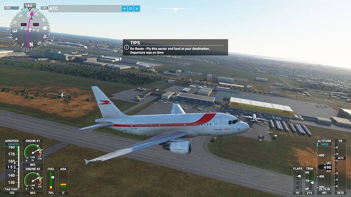 Microsoft Flight Simulator 30_01_2021 17_10_12