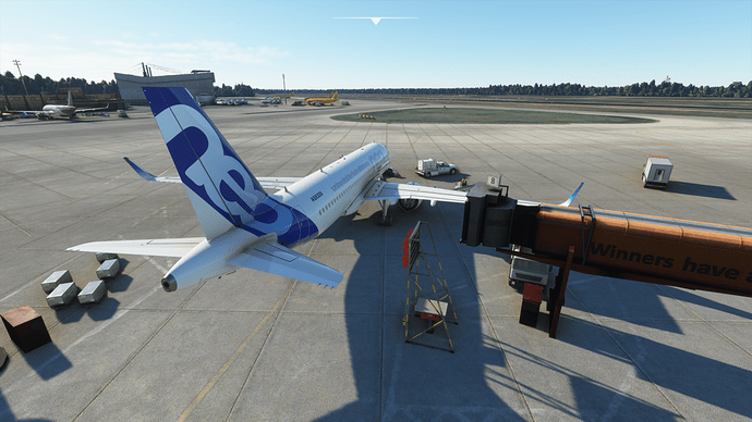 Microsoft Flight Simulator 20.09.2020 16_00_45