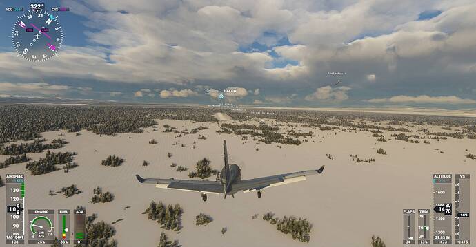 Microsoft Flight Simulator Screenshot 2021.02.04 - 20.27.06.93