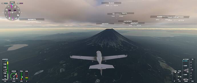 Microsoft Flight Simulator 10_01_2021 22_47_40
