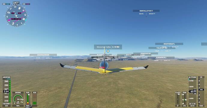 Microsoft Flight Simulator Screenshot 2020.11.25 - 20.41.23.99