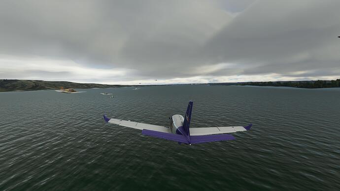 Microsoft Flight Simulator Screenshot 2021.03.21 - 21.06.01.35