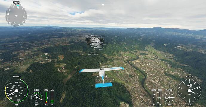 Microsoft Flight Simulator Screenshot 2021.01.03 - 20.04.34.92