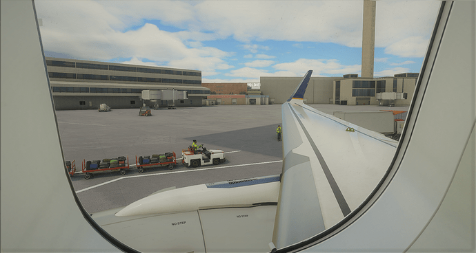 Microsoft Flight Simulator 9_6_2020 12_49_40 PM