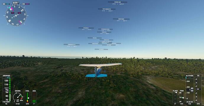 Microsoft Flight Simulator Screenshot 2021.01.06 - 21.42.40.25