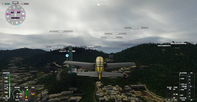 Microsoft Flight Simulator Screenshot 2020.12.09 - 21.18.38.60