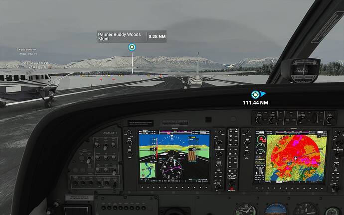 Microsoft Flight Simulator 21_02_2021 20_25_39