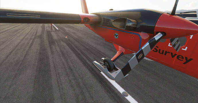 Microsoft Flight Simulator Twin Otter (10)