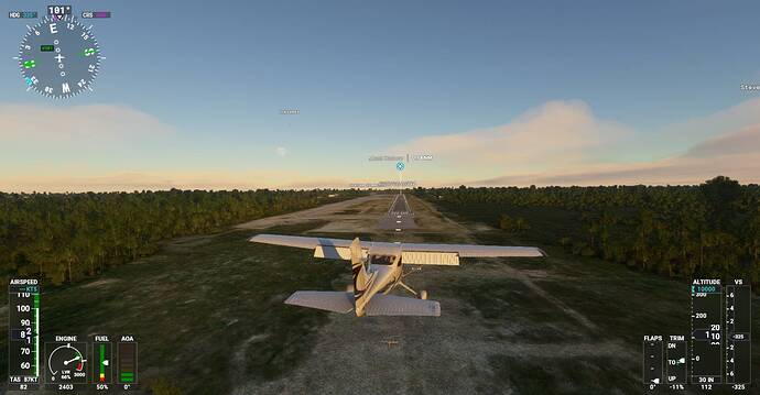Microsoft Flight Simulator Screenshot 2021.01.27 - 21.41.40.99