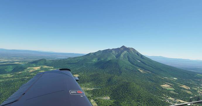 Microsoft Flight Simulator 4_23_2021 9_50_18 AM