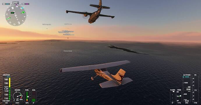 Microsoft Flight Simulator Screenshot 2021.01.27 - 21.56.59.27