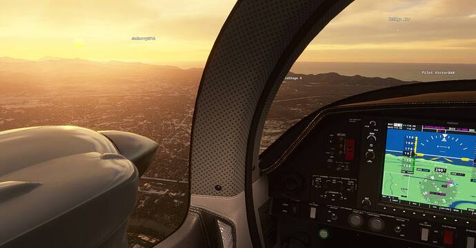 Microsoft Flight Simulator Screenshot 2021.01.14 - 21.29.14.43